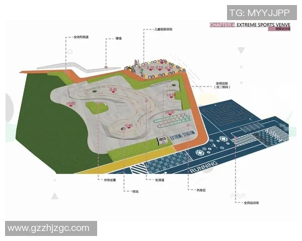 武汉极限运动队的控制现状与发展趋势分析